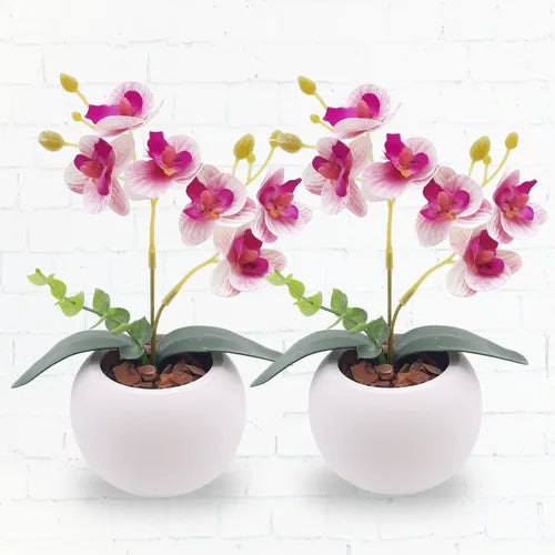 Kit 2 Mini Orquídea Artificial